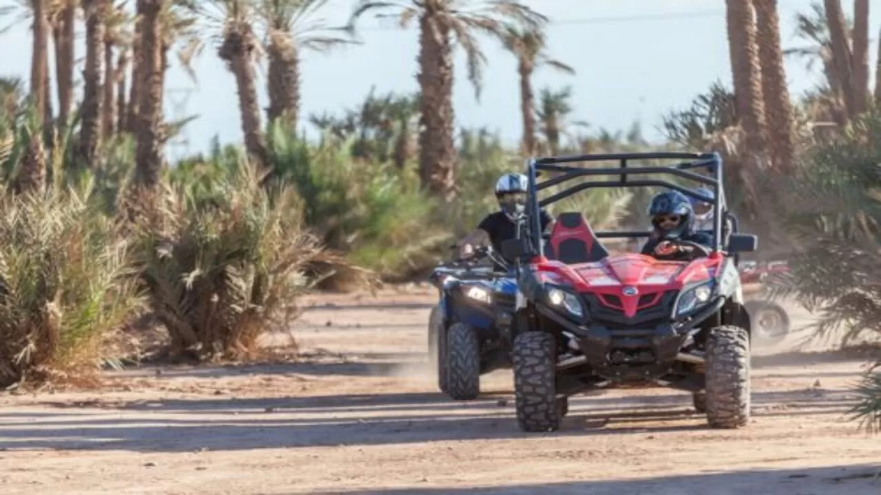 Palmeraie Buggy Tour with Authentic Tea Experience from Marrakech