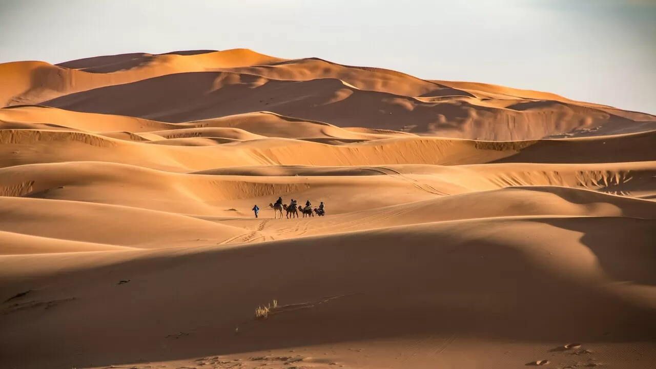 3-Day Luxury Desert Tour from Marrakech to Fez: Sahara Experience & Erg Chebbi Camel Trek