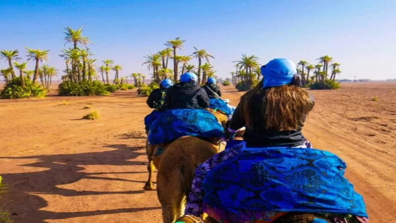 Palmeraie Quad Bike and Camel Ride Tour with Authentic Tea Experience from Marrakech