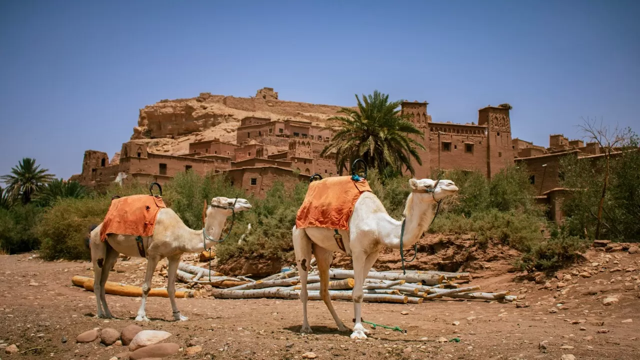 5-Day Private Sahara Desert Tour from Marrakech to Agadir via Erg Chegaga