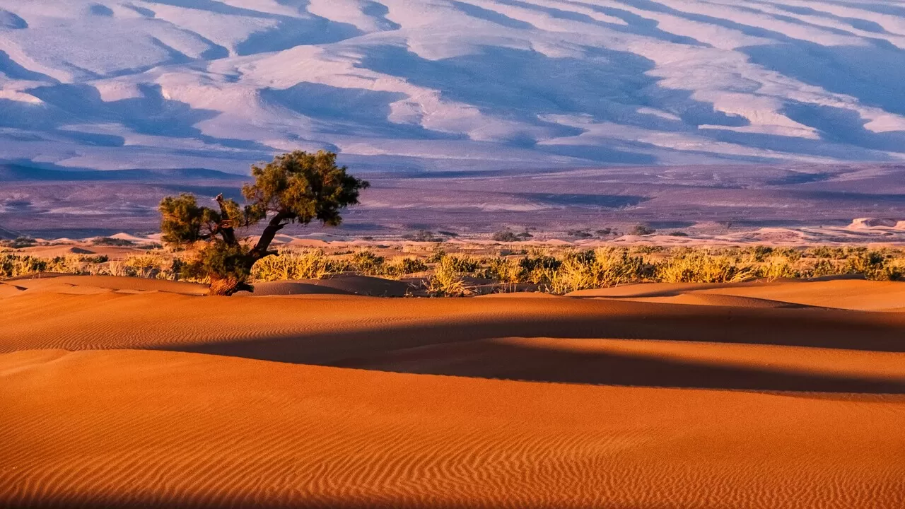 2-Day Private Sahara Desert Tour from Marrakech to Zagora with Camel Ride & Desert Camp