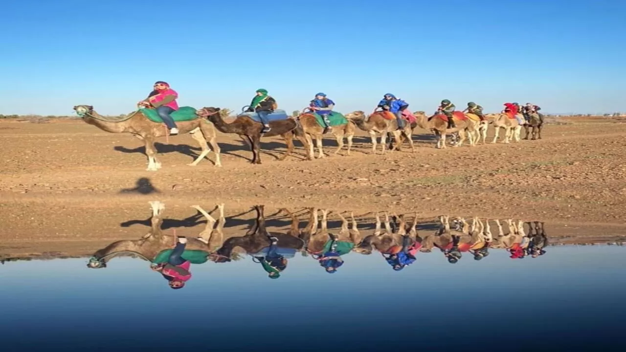 Agafay Desert Camel ride tour with Traditional Moroccan Tea Experience from Marrakech